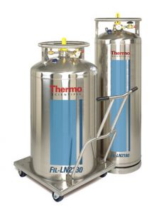      Thermo